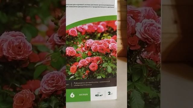 ?? Комплексная подкормка весной.