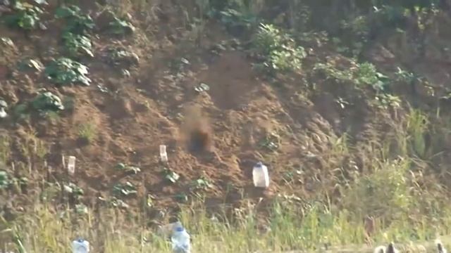 сайга смотреть онлайн