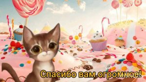 kitten match.День рождения Шарлотты🥳💐🌺