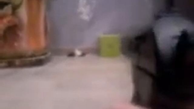 Во славу оружию:,, Power Air Gun'' смотреть онлайн