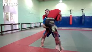 Программа тренировок по мма