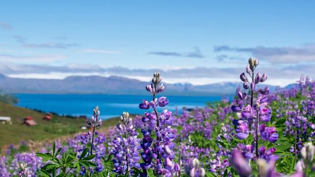 Евангелие и Святые дня. Апостольские чтения. Седмица 2-я по Пасхе. (13.05.2021) смотреть онлайн