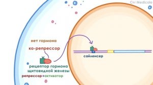 Регуляция экспрессии генов