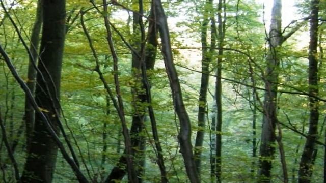 11 Школа Веры Урок 6 Разговор о молитве Отче Наш смотреть онлайн