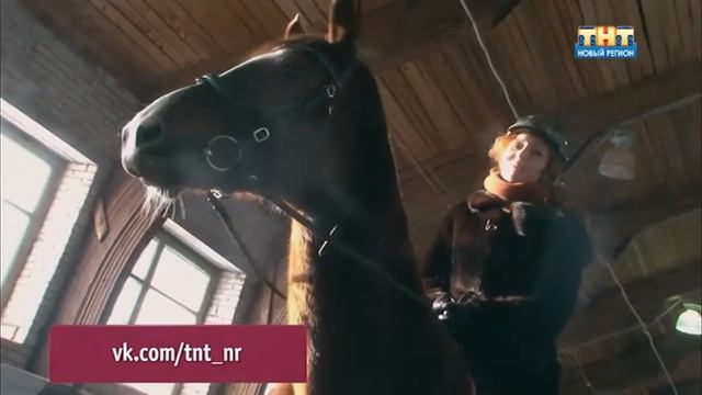 Кони
