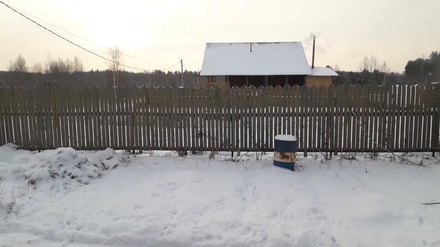 Навозоудаление в сарае, кормление  коров, утренняя дойка. Пушистый  снежок!