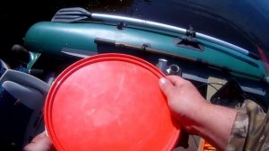 Судак на Волхове, а он здесь есть.