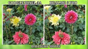 Google Pixel 4A vs Realme 6 Pro - Full Comparison, Pixel 4A Camera Comparison