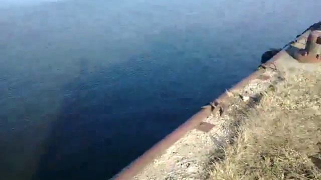 ловля судока смотреть онлайн