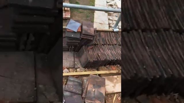 Guard dog vs Scaffolder on site ? смотреть онлайн