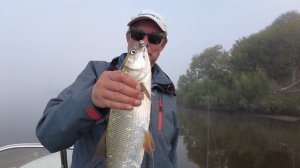 Жерех в тумане. Три часа на рыбалку.