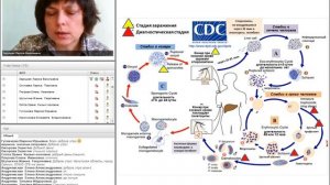 Паразитология. Малярия.mp4