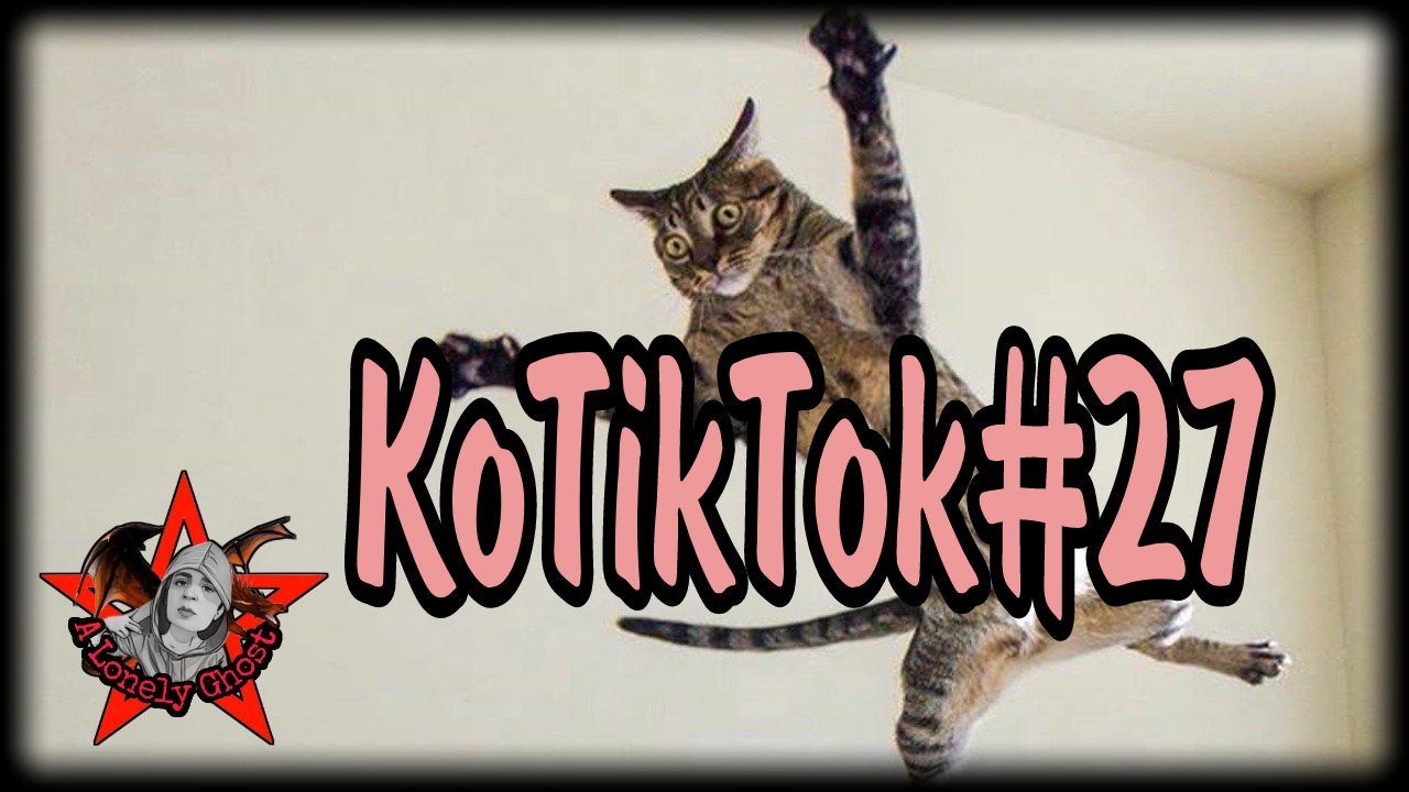 KoTikTok#27