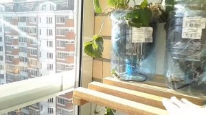 Как сделать полку для растений или хранения вещей на балконе DIY