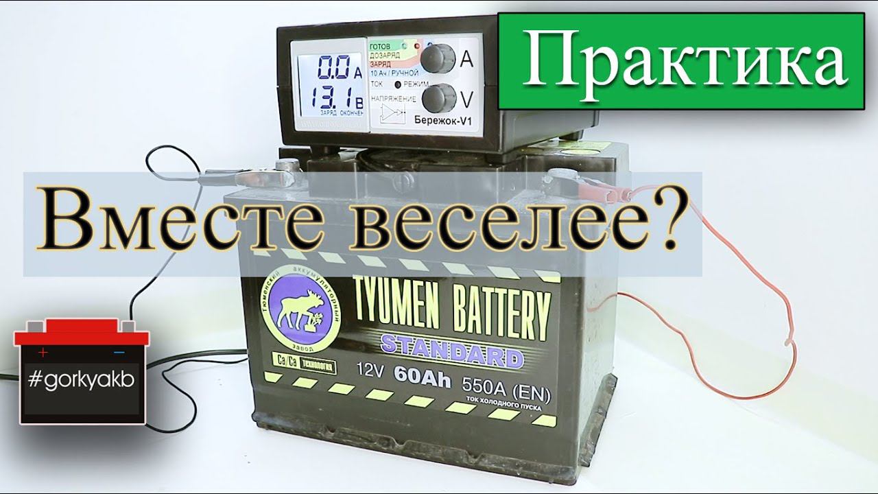 Аккумулятор Тюмень Стандарт 2020 и зарядное устройство Бережок V1. Вместе веселее?