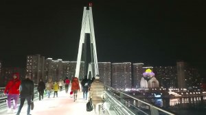 Прогулка по Павшинскому мосту (20.01.23)