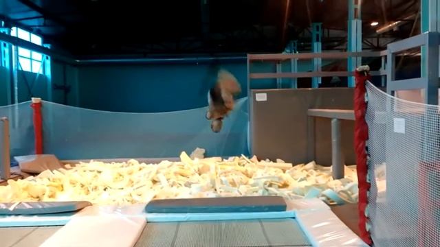 Задний винт, двойное переднее, пол переднего винта, бланш. Пробуем первый раз новые трюки смотреть онлайн