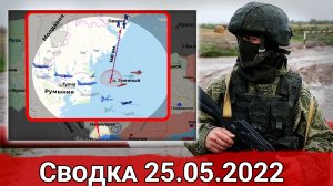 Бои на Углегорской ТЭС и активность НАТО у Змеиного. Сводка за 25.05.2022 г.