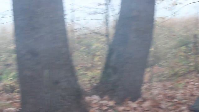 Велопоход выходного дня с ночевкой возле озера