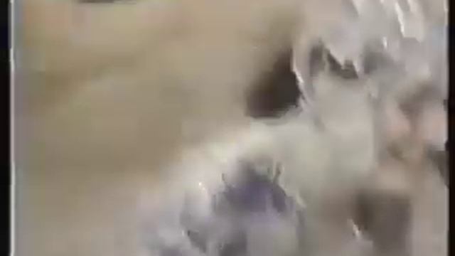 Italian Mud Wrestling