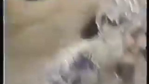 Italian Mud Wrestling