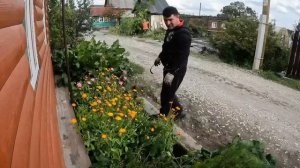 Абдугани радует своими оценками. Работаем на даче.