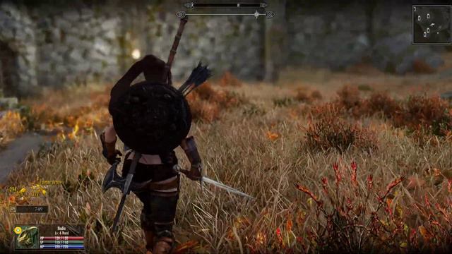 Skyrim SE Mod Test DVBO/Bella Voice, Combat, Wheeler Menu (Daytime) смотреть онлайн