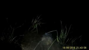 на оз . Денежном  рыбалка . Волгоград.