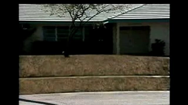 A Must Watch Canada Green Grass Review смотреть онлайн