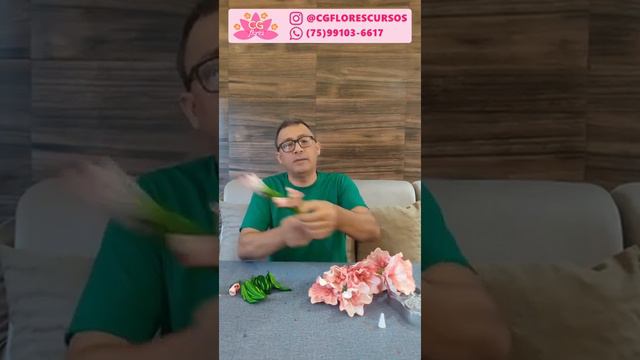 | PALMA DE SANTA RITA 🌸 смотреть онлайн