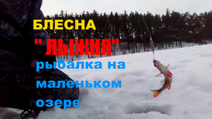 Блесна " ЛЫЖНЯ". Зимняя рыбалка на маленьком озере.