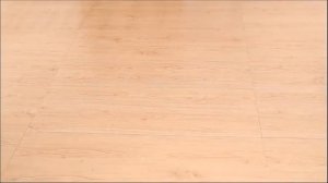 Плоская швабра с отжимом