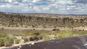 Honda Element - 2024 will bring new Adventures