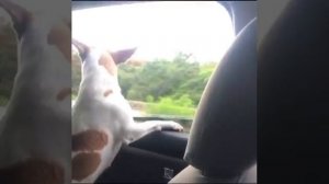 На встречу приключениям