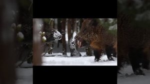 кабан нападает на охотника