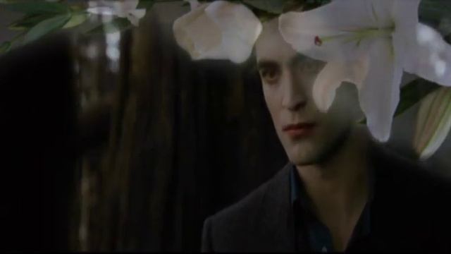 Twilight Saga / Bella - Edward / Как жаль... смотреть онлайн