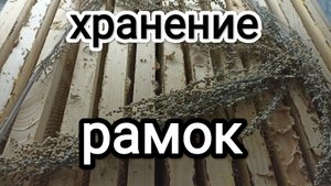 Как хранить рамки. Пчеловодство!