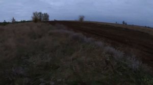 Петрошина с-137 на Авантис а7 люкс . Тест - обзор .