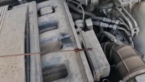 K4553 - engine test BMW 5 E39 2.8i / 286S2 / 5sp.man