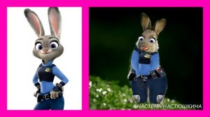 ZOOTOPIA 2 characters in real life ! 🦊🐰