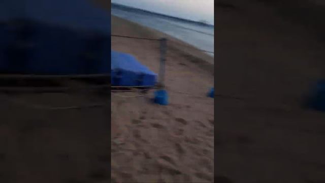 Самое чистое море в мире Красное море!