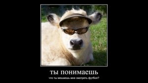 батя ворвался к школьнику во время стрима