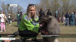 В Усть-Абакане прошла первая национальная выставка собак