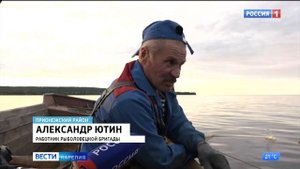 46 тонн ряпушки выловили в этом году онежские рыбаки