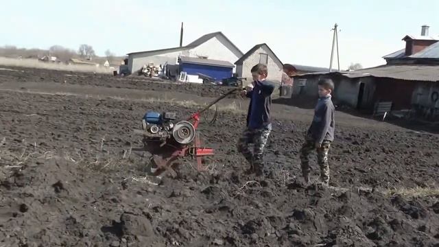 Ручная сеялка. Продолжаем сеять морковь.