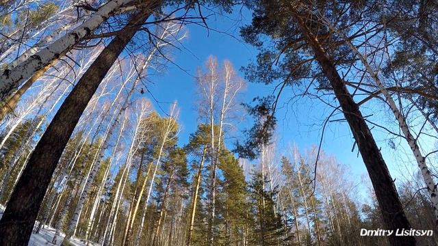 По заячьим следам.