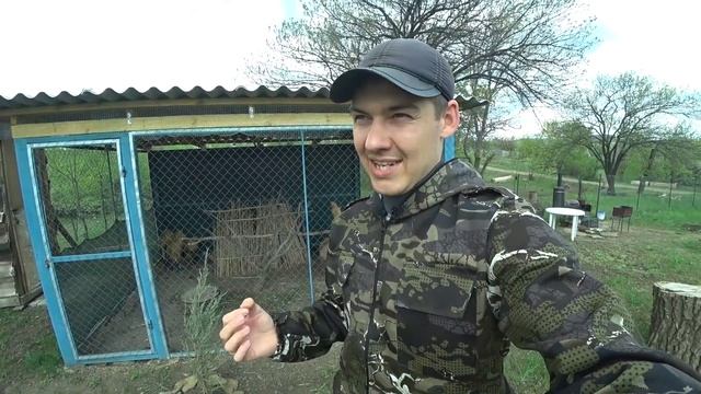 ФАЗАНЫ ЗАНЕСЛИСЬ!!! УРА! Год содержания Фазанов! смотреть онлайн