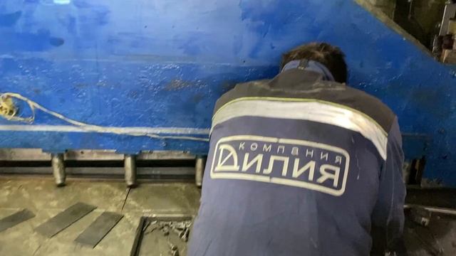 Компания "Дилия"