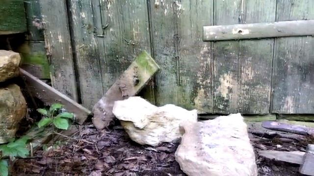 Рухнул сарай! И другие приключения дачников. Русский дом! #2022 смотреть онлайн