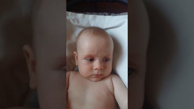 Малышу не нравится скрипка смотреть онлайн